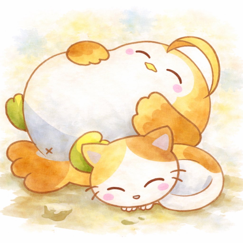 でぼの日常（公式） tweet media