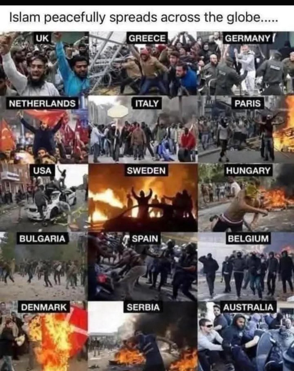 AkArnette's tweet photo. @Martina @Telegraph @Acosta Only a jihadist would think so https://t.co/lkkZyGUcdQ