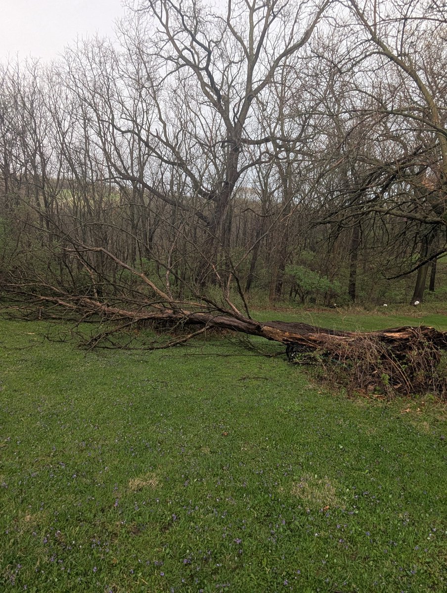 Midwest_WX tweet media