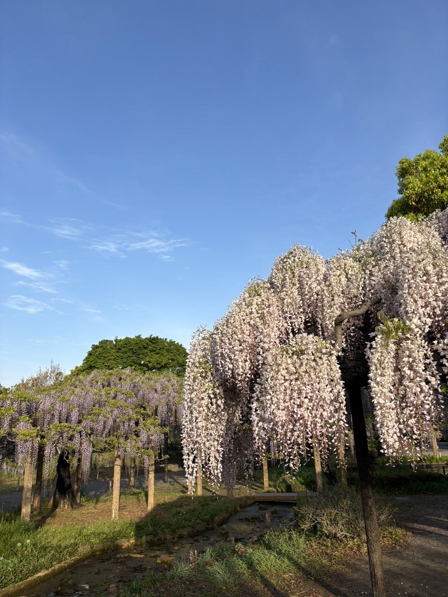 たけちゃん #はにゅはにゅ tweet media