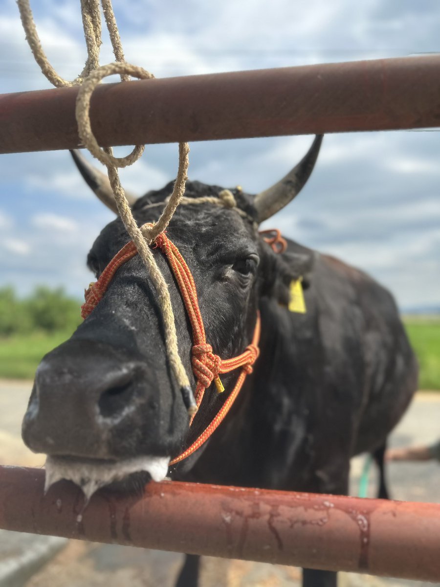 ゆうすけ tweet media