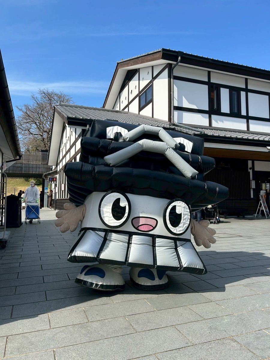 ひごまる【公式】 tweet media