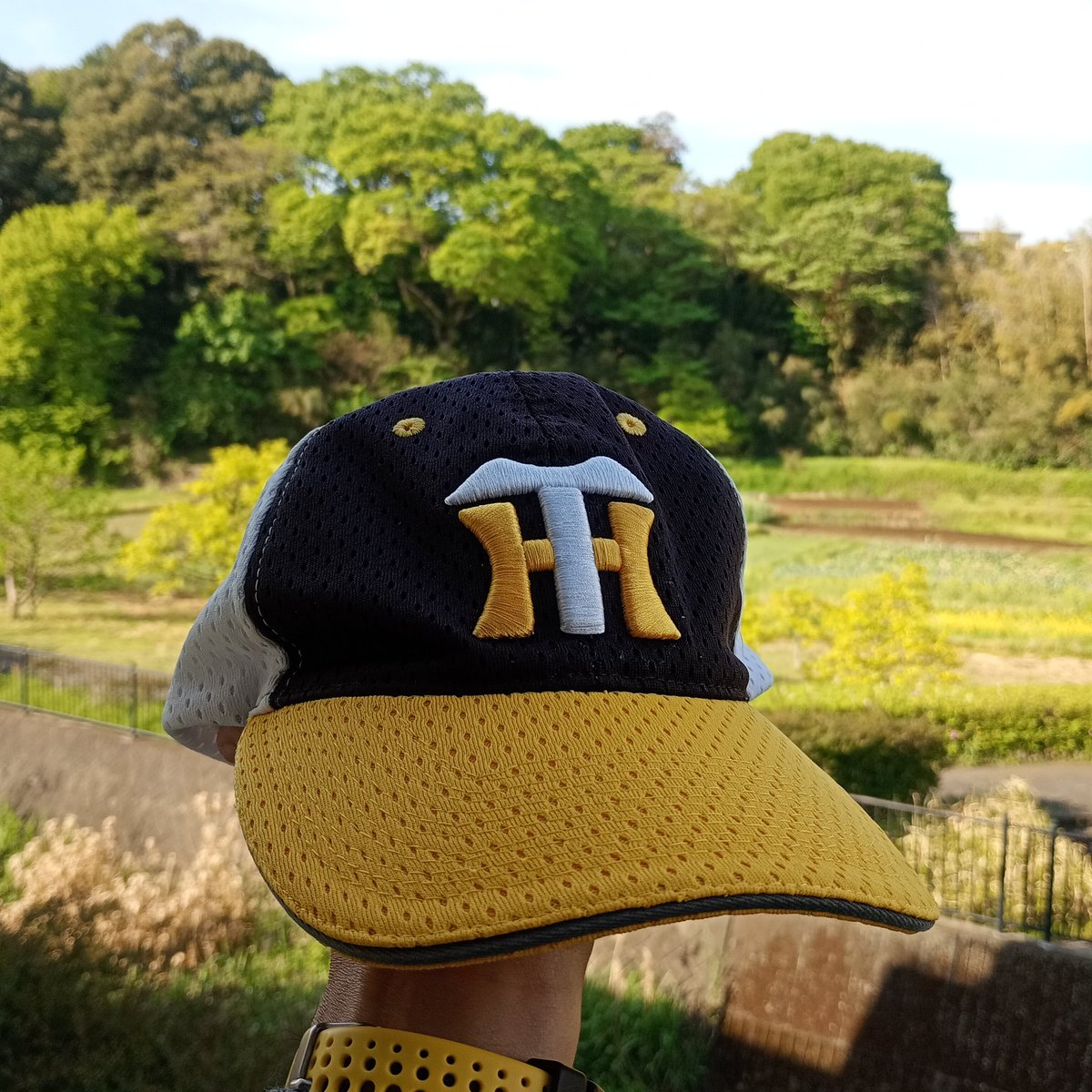 いっちろー🐯🌺 tweet media