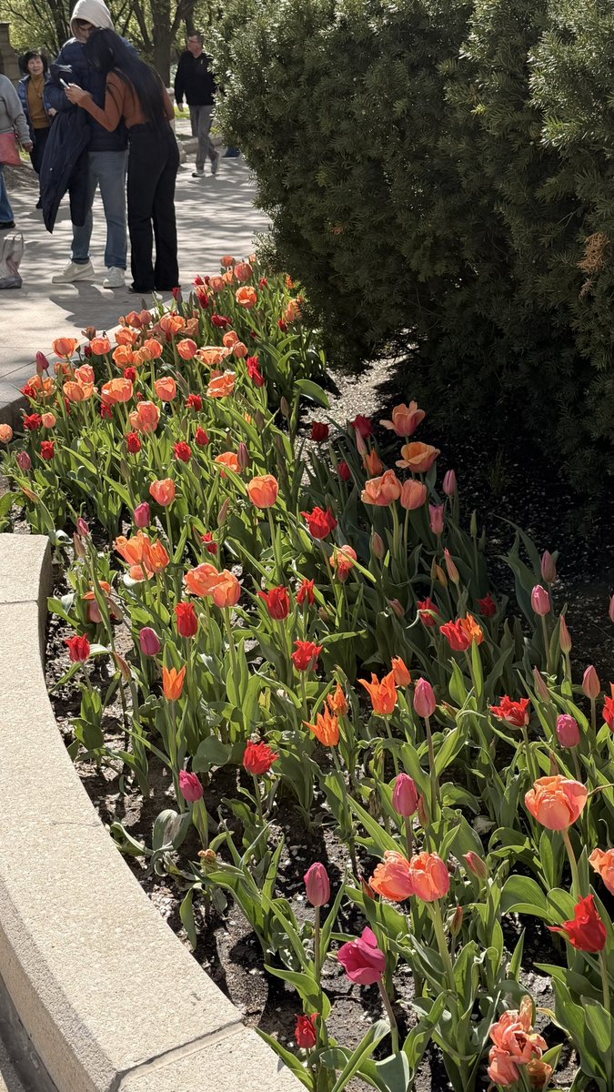 Aɴɴᴇ⸆⸉ tweet media