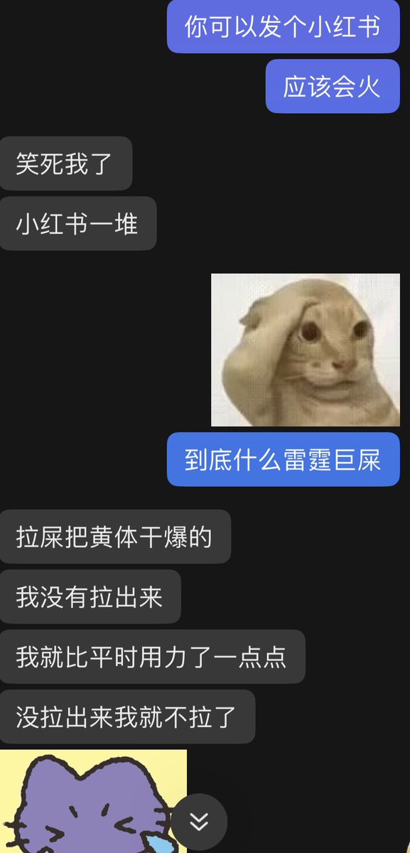避雷柚子酒 tweet media