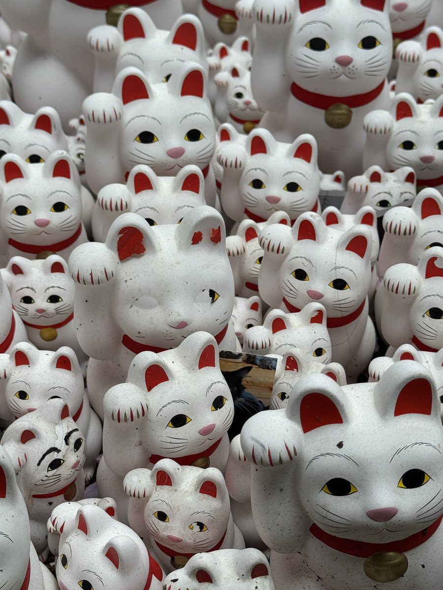 จบก. • โจ้บองโก้ tweet media