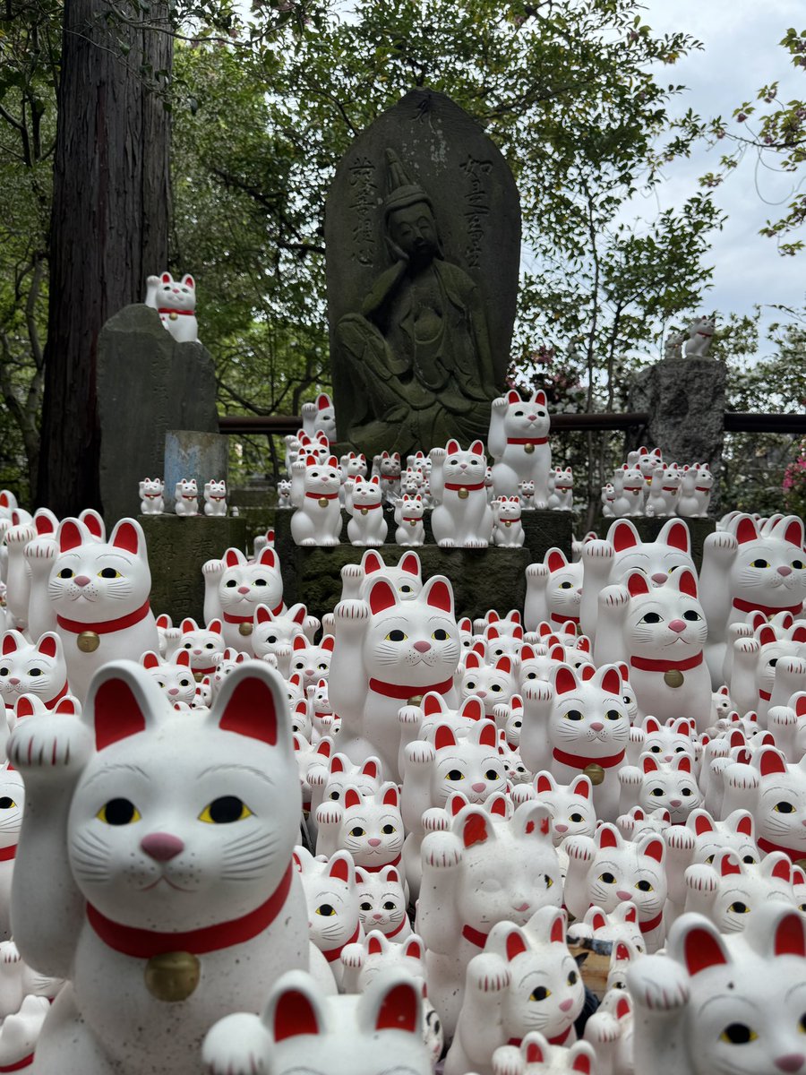 จบก. • โจ้บองโก้ tweet media