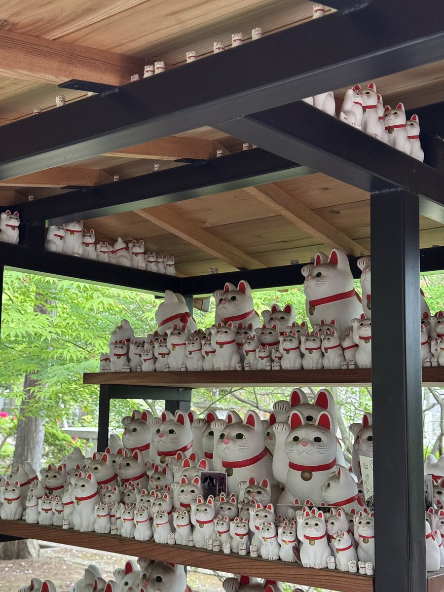 จบก. • โจ้บองโก้ tweet media