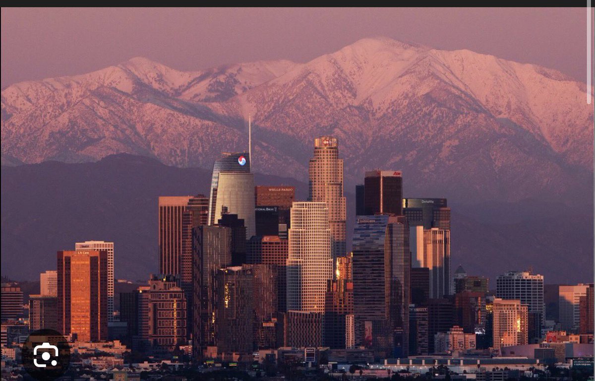 bigbadwolf tweet media