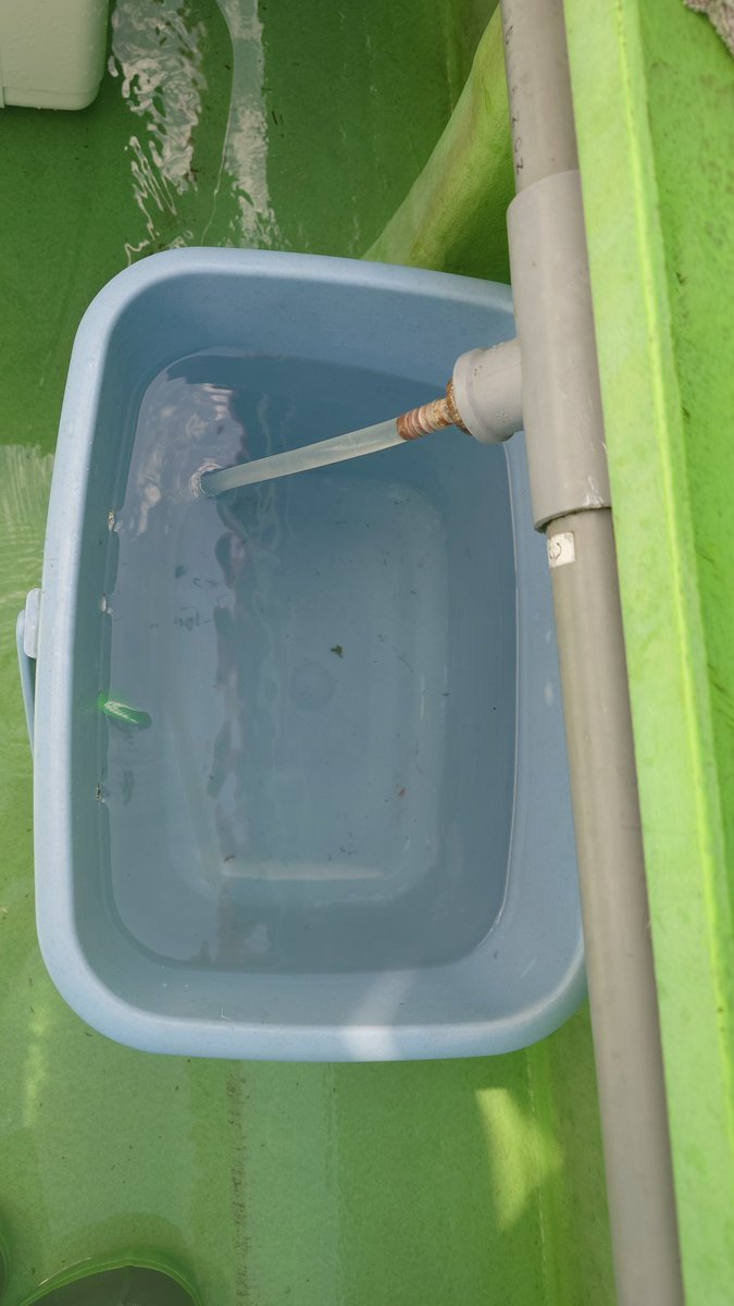 うっしー tweet media