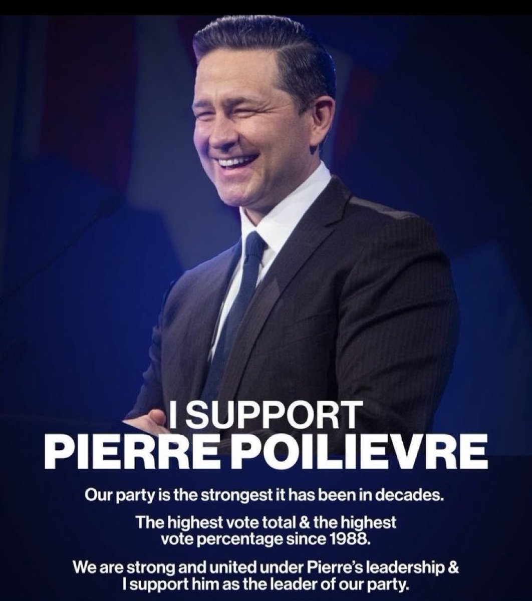 Concerned Canadian tweet media