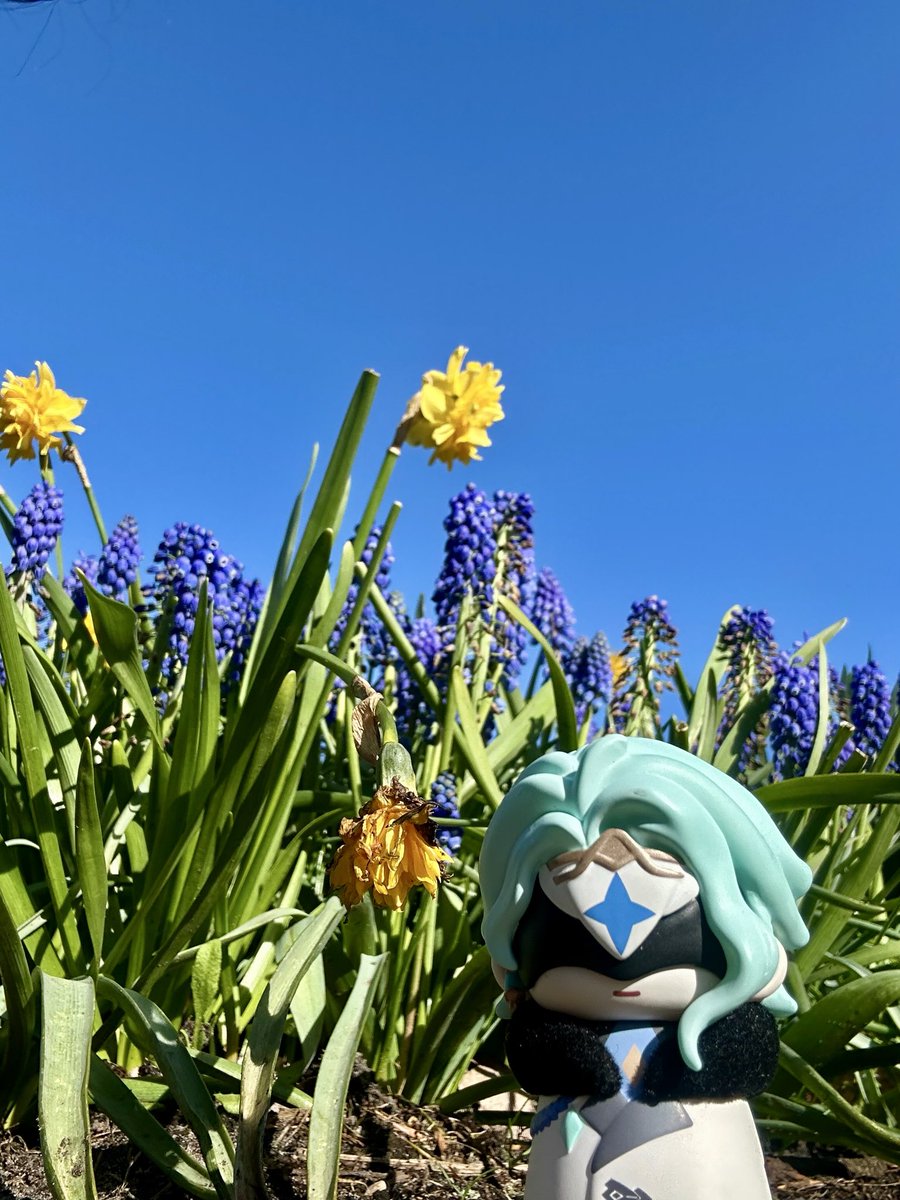 赤飯alchem tweet media