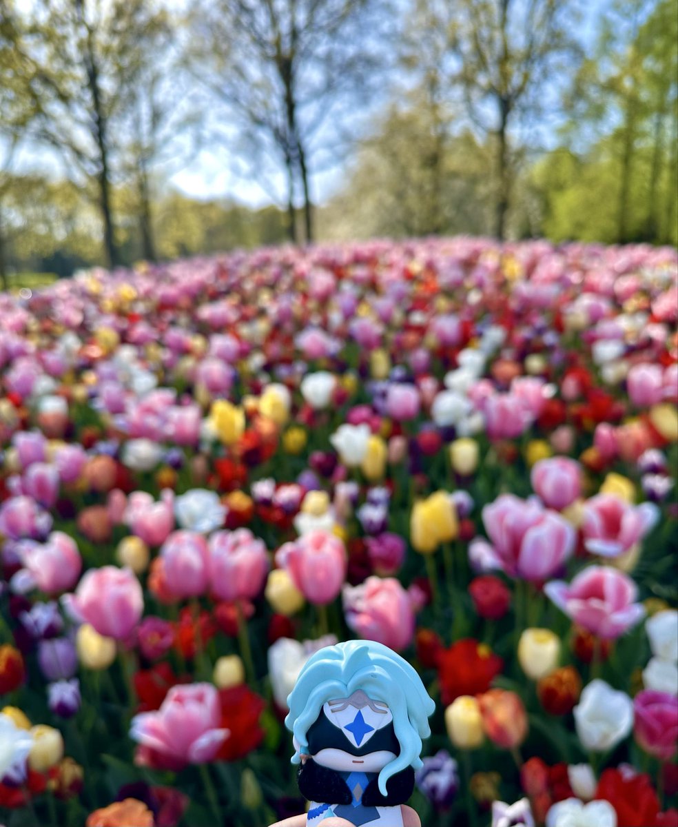 赤飯alchem tweet media