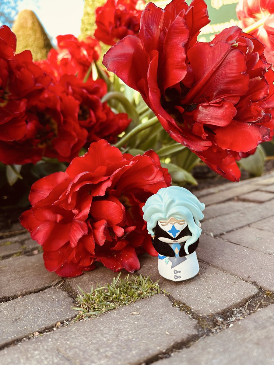 赤飯alchem tweet media