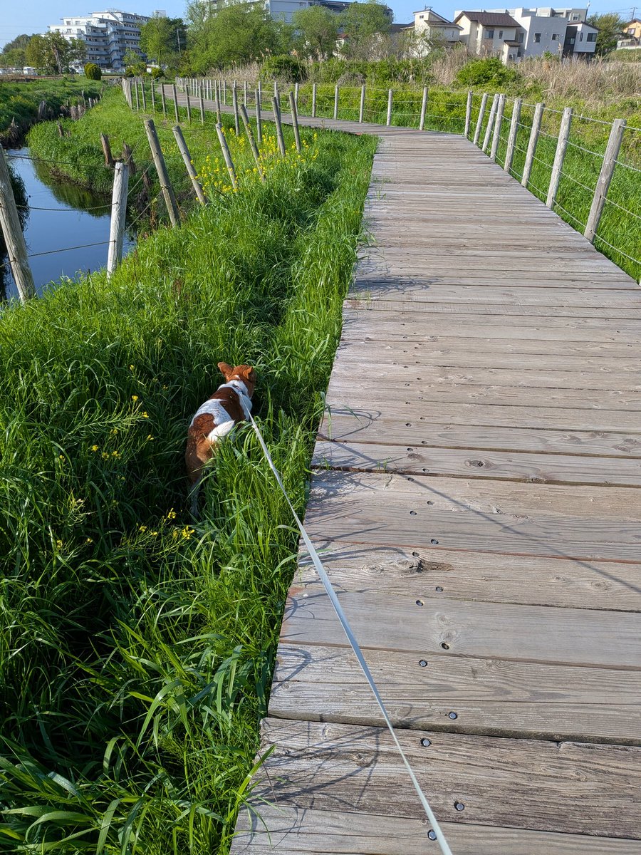 虎次狼メール便 tweet media