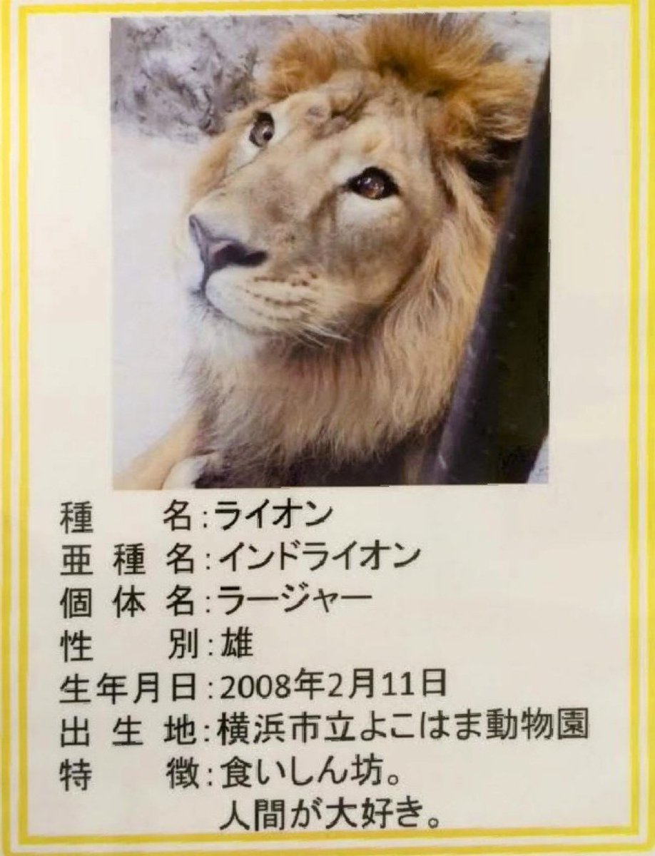 じわじわくるものbot tweet media