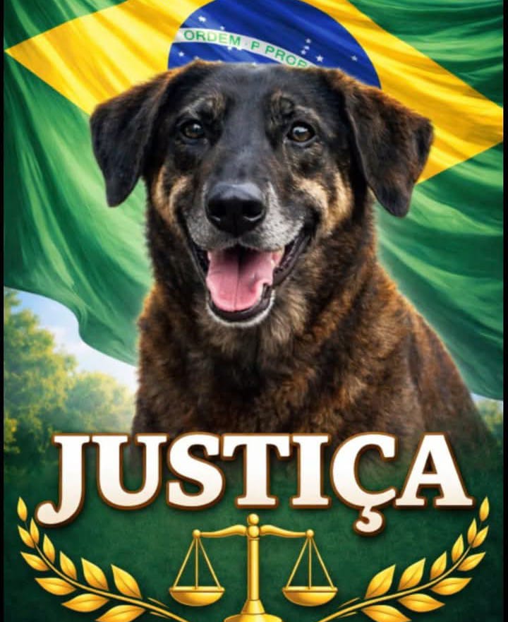 Justiça pelo Orelha ! 😔❣️😔❣️🇧🇷🇧🇷