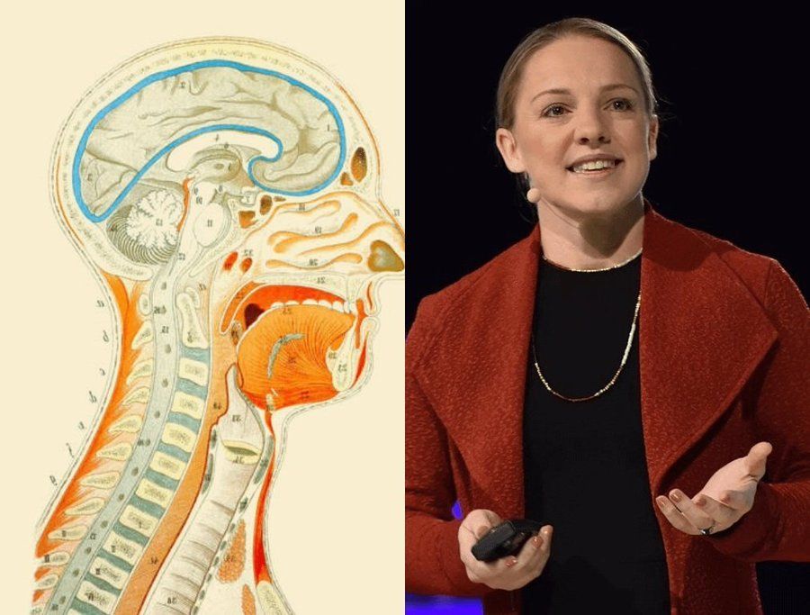 Maikolll tweet media