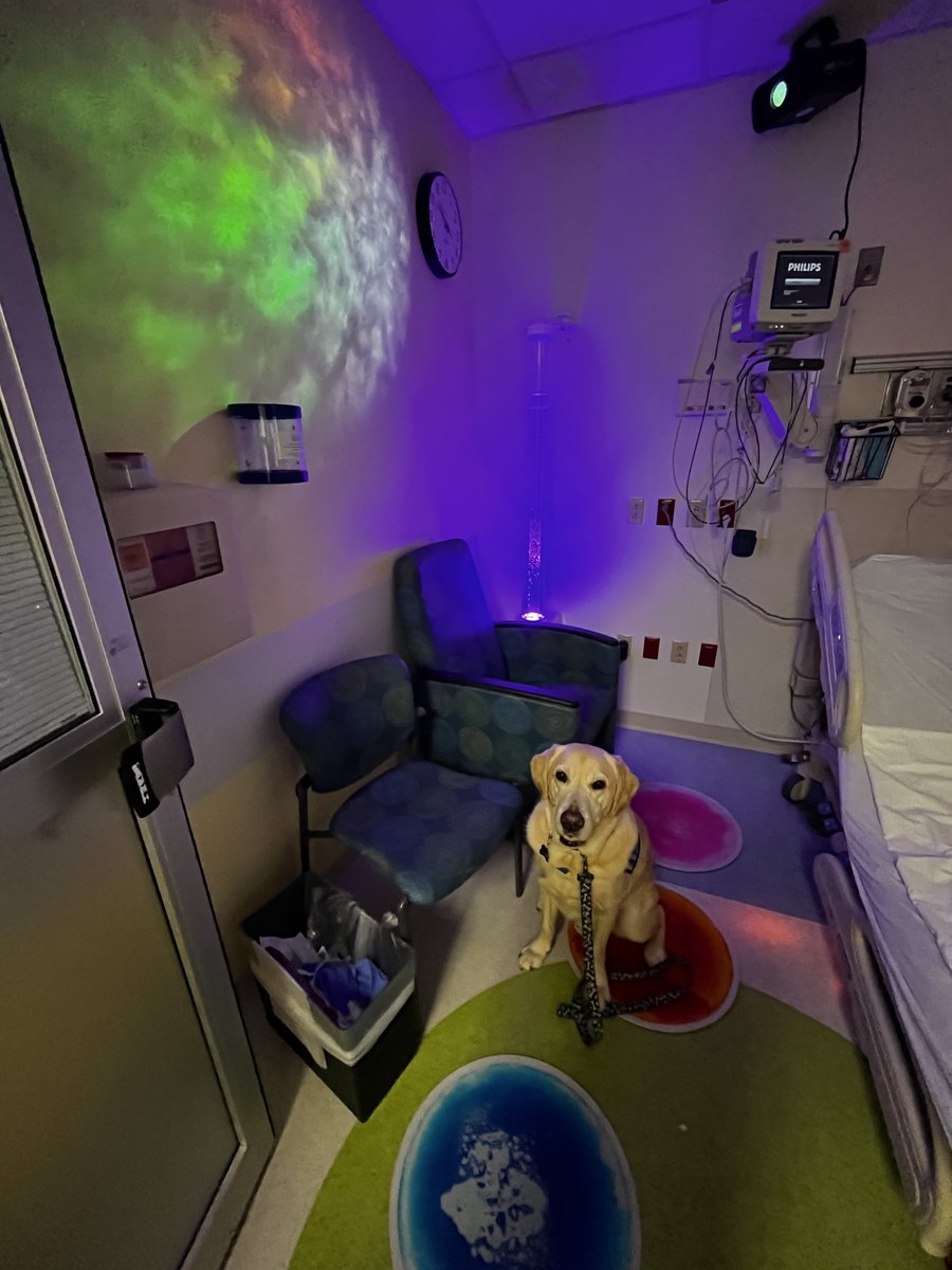 Wolfson Children's Hospital tweet media