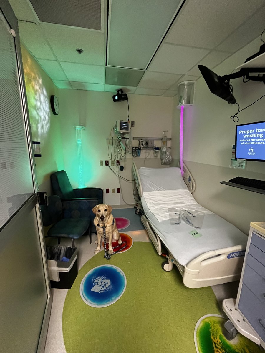 Wolfson Children's Hospital tweet media