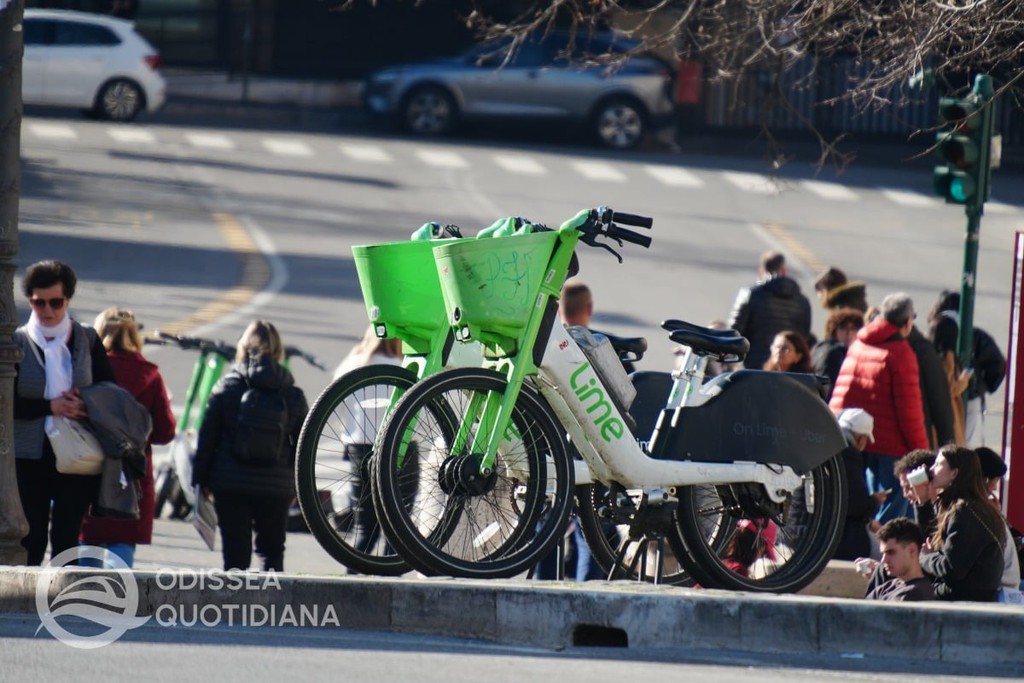 iltrenoromalido's tweet image. Patané: avanti con lo sharing gratuito per chi ha abbonamento Metrebus. Misura confermata, ma senza dettagli su tempi e condizioni di utilizzo.

 👉 lttr.ai/AqC7z

#Sharing #Roma