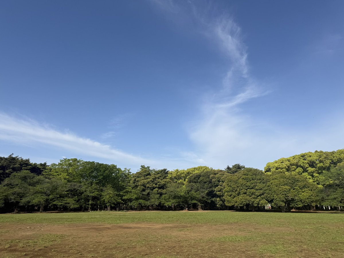 おはようございます