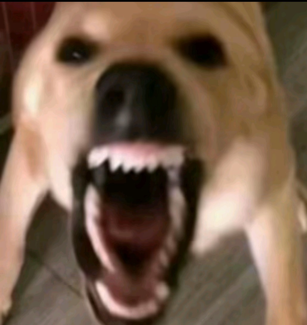 No puedes aspirar a ser campeón si no le puedes ganar a Barranquilla F.C. en tu propia casa #RealCartagena