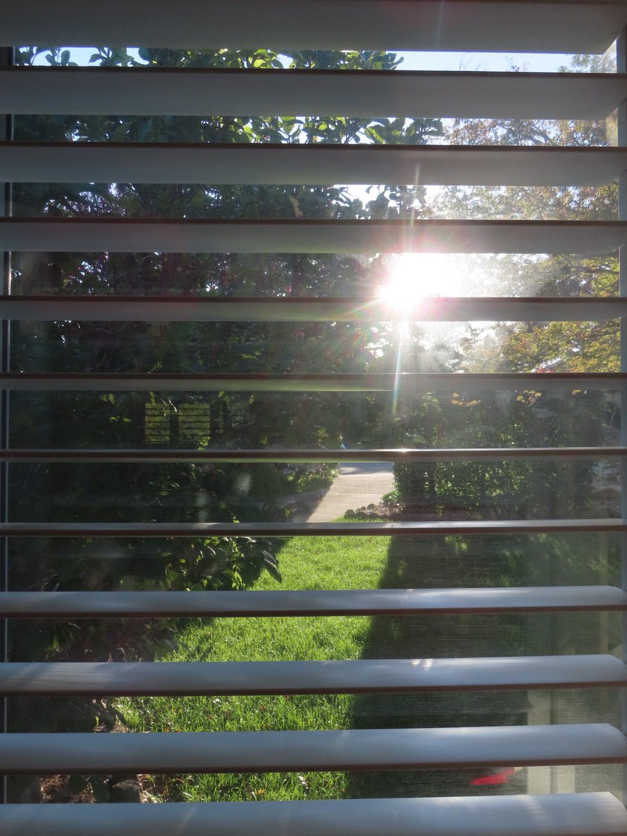 wapple15's tweet image. Good morning #Canberra ❄️☀️😎