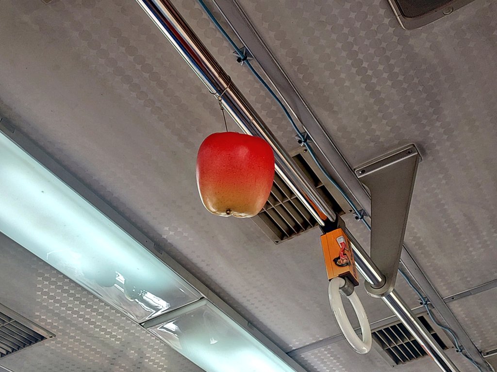 タロウ(⏳🐇) tweet media