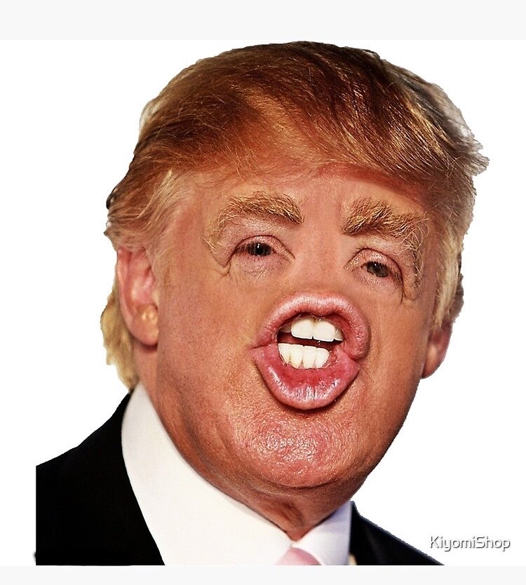 Robi96's tweet photo. @_InfoGram_ Isn't that normal? Isn't he the king of lies? https://t.co/gqWU3L9DRC