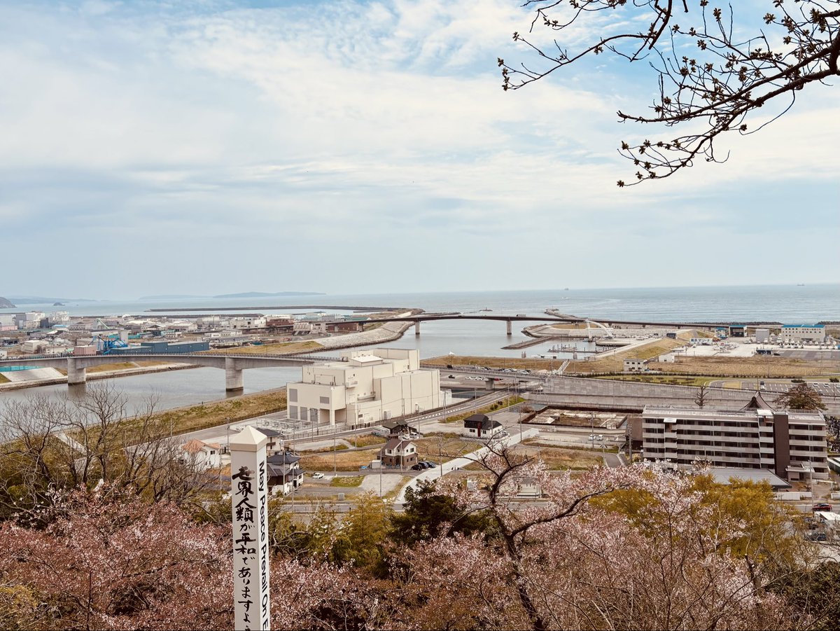 りんご tweet media