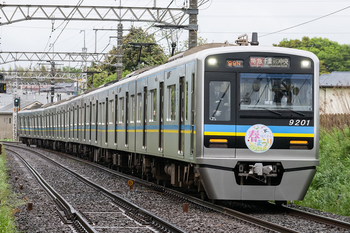 ももてん◢ tweet media