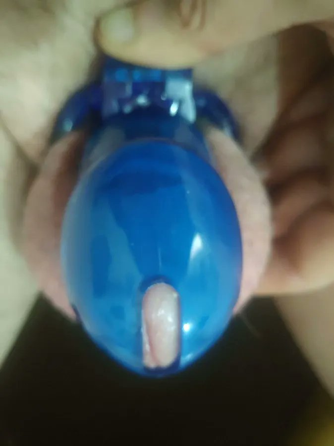 ToyPervert tweet media