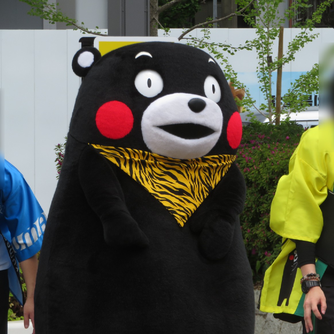 ふ る🏍️(カブ主) tweet media