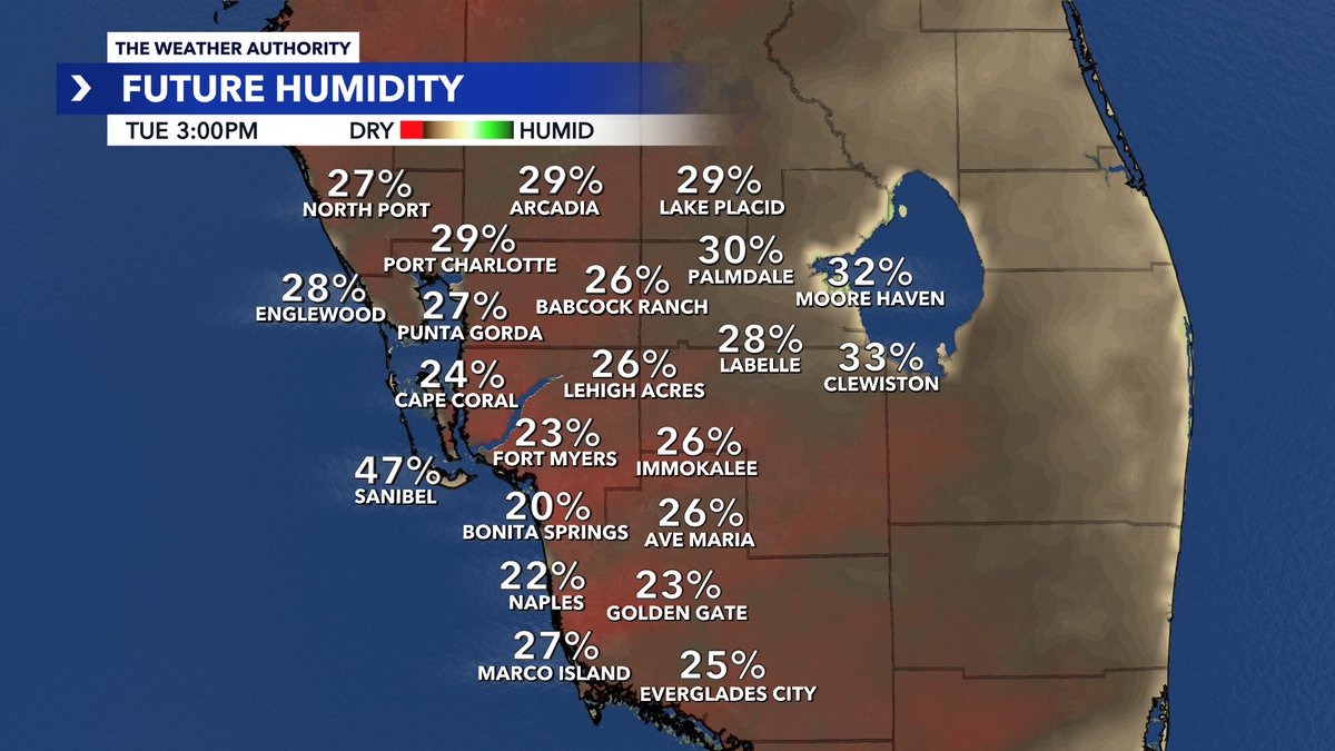 Andrew Shipotofsky tweet media