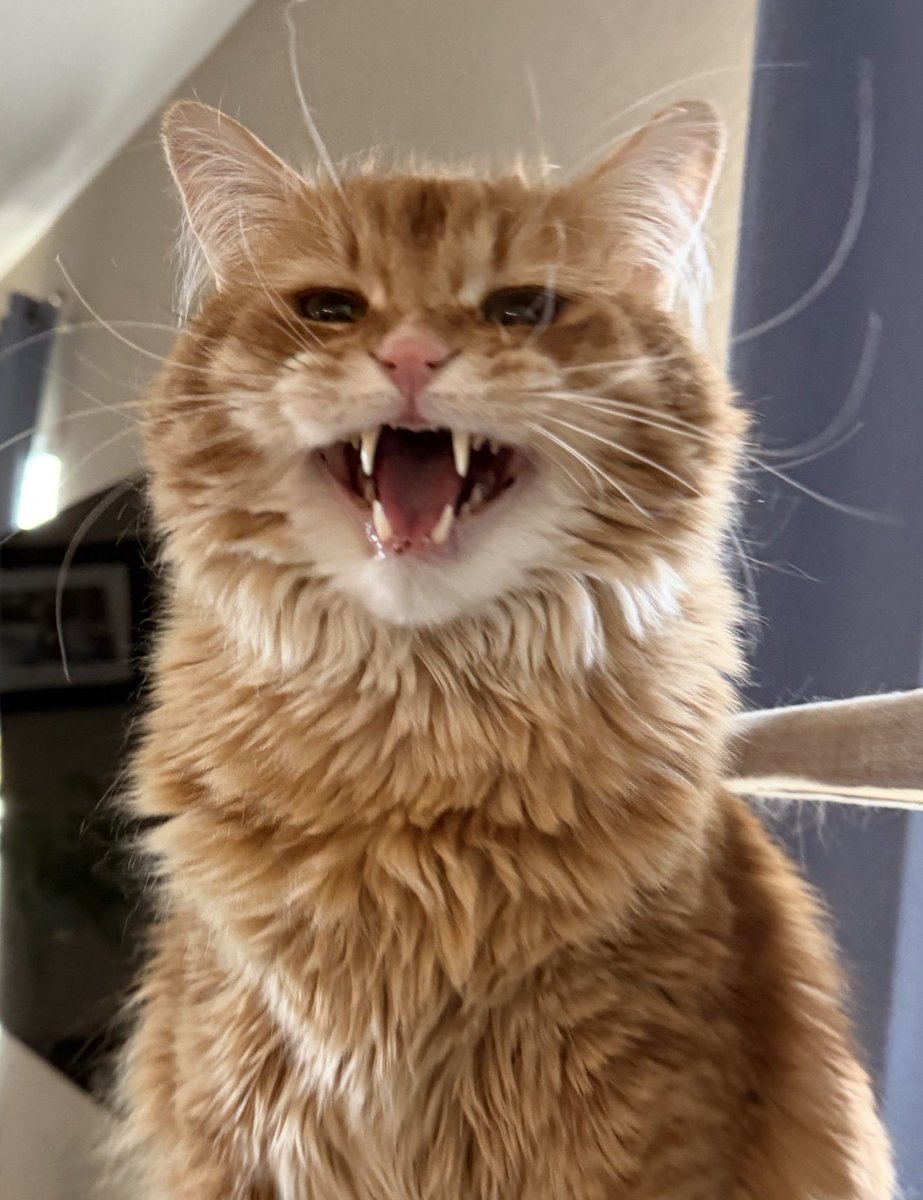 Andrew McCarthy tweet media