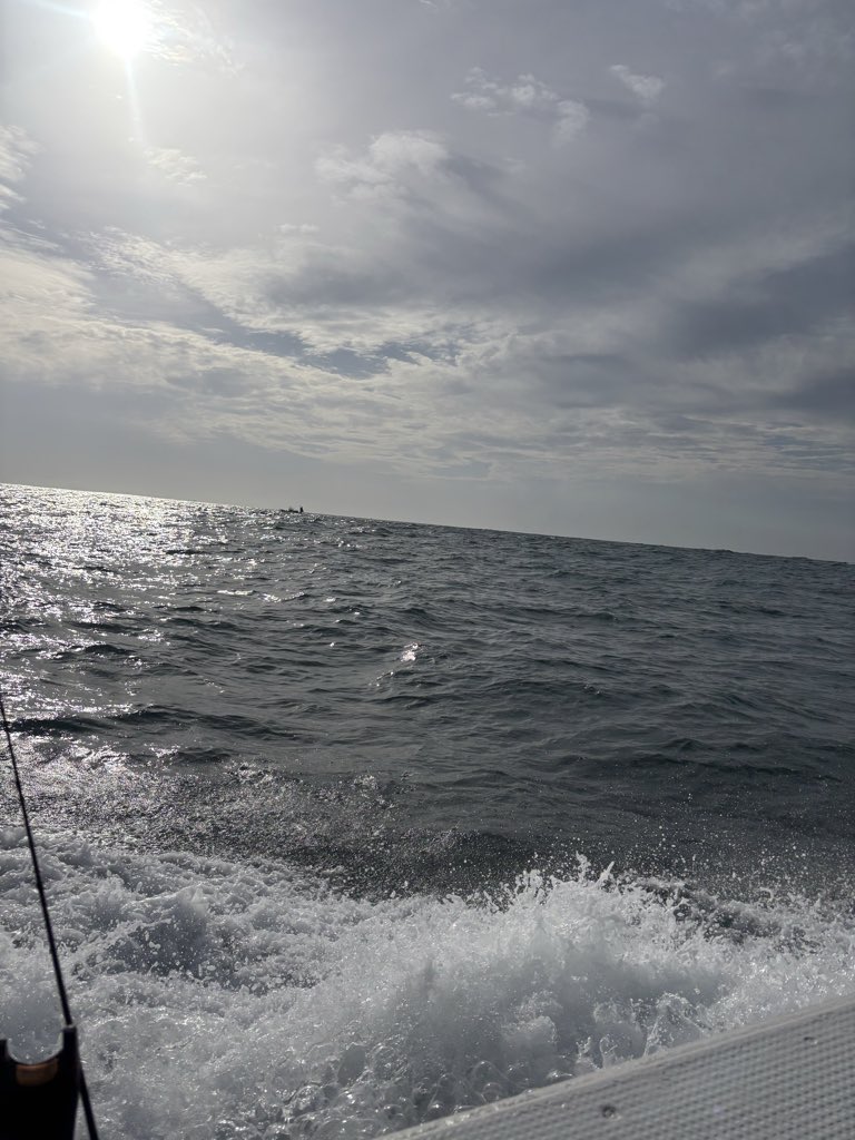 ライダー tweet media