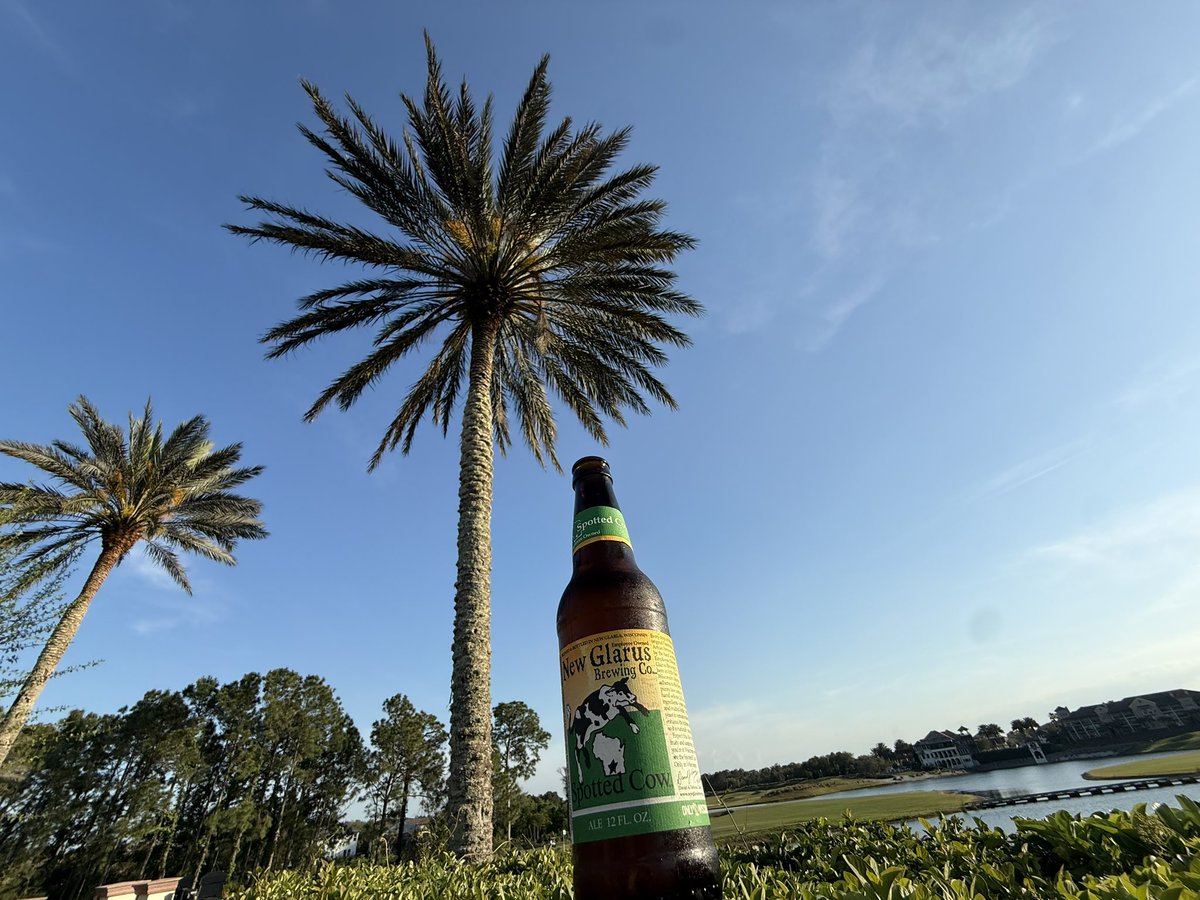 I Cast Magic Missile tweet media