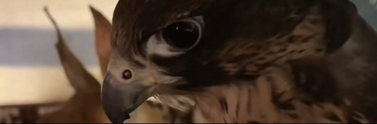 تيما|🇸🇦 tweet media