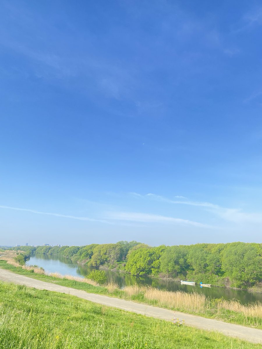 midyz🍀🍓命の煌めき✨天の川🌌より愛を込めて tweet media