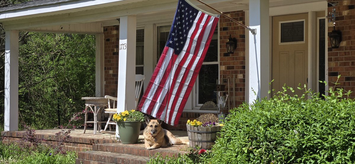 John Chapman tweet media