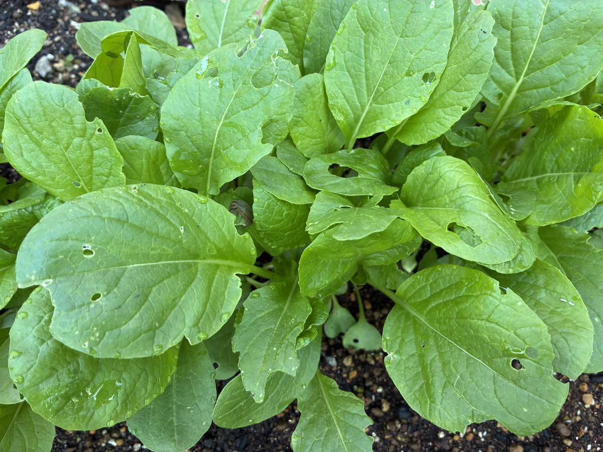 prfmppfm tweet media