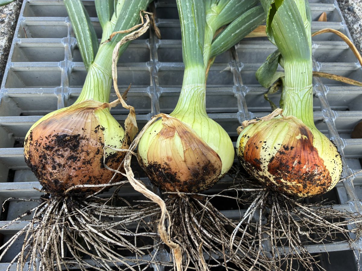 prfmppfm tweet media