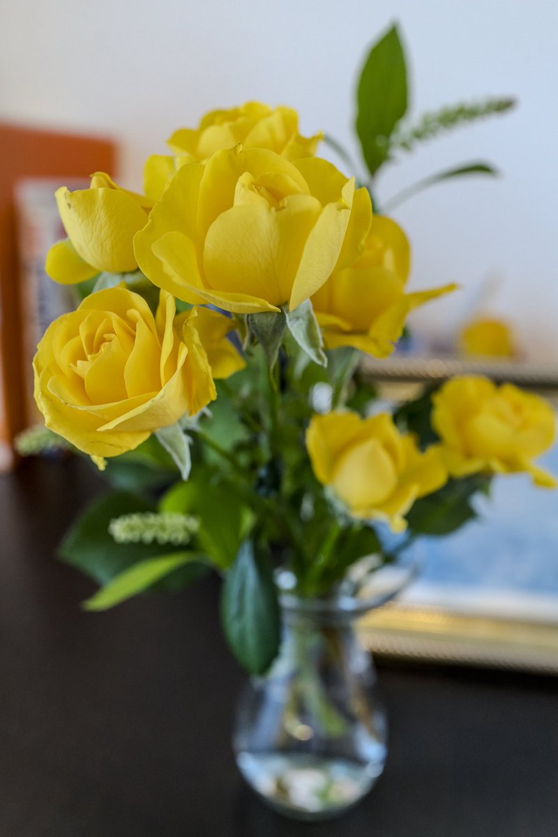 yatakaharu's tweet image. #LeicaQ2 #dxopure #Lightroom