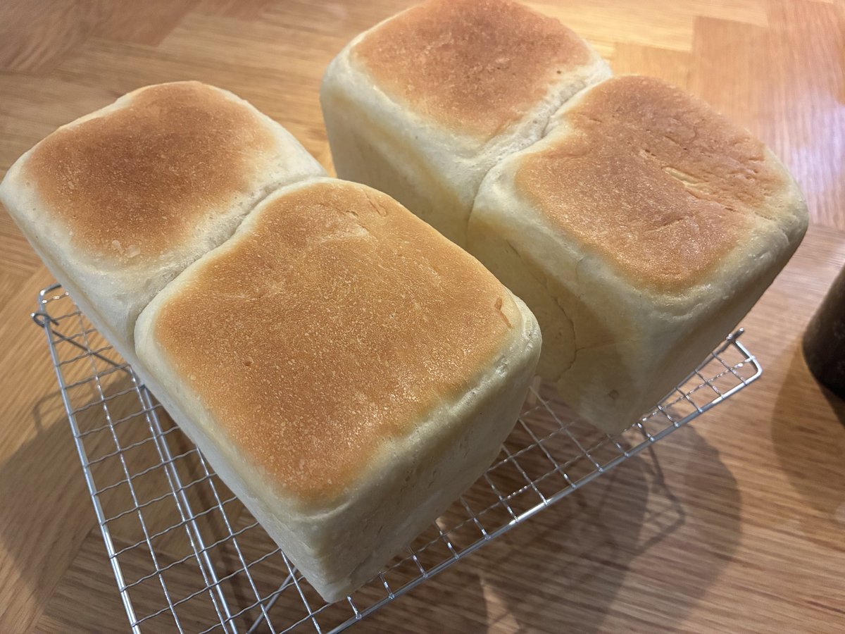 朝から頑張った！