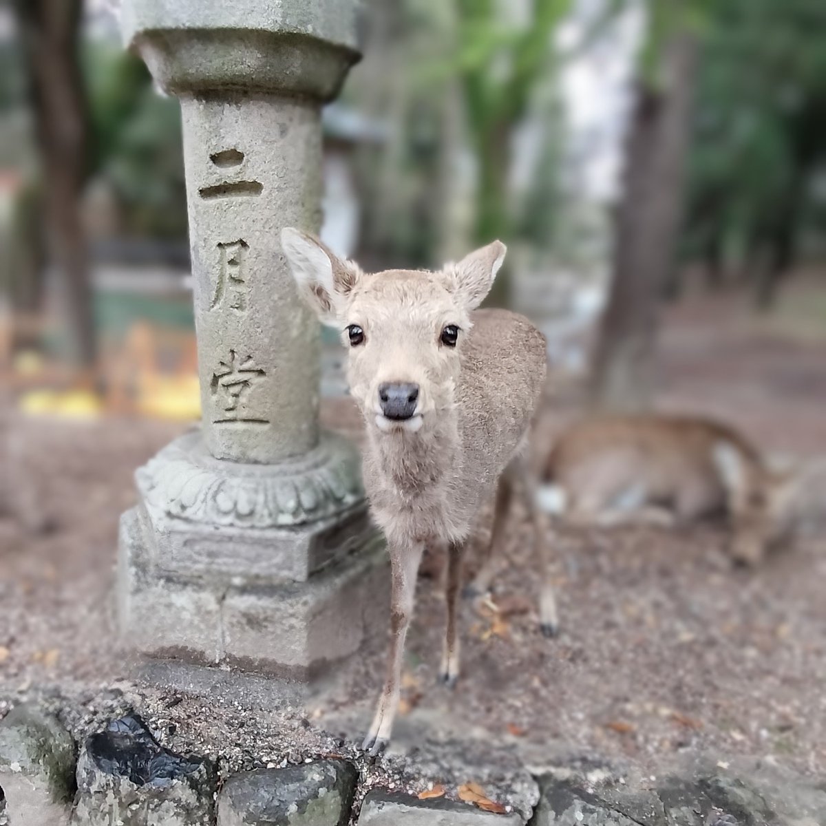 tencoro51 tweet media