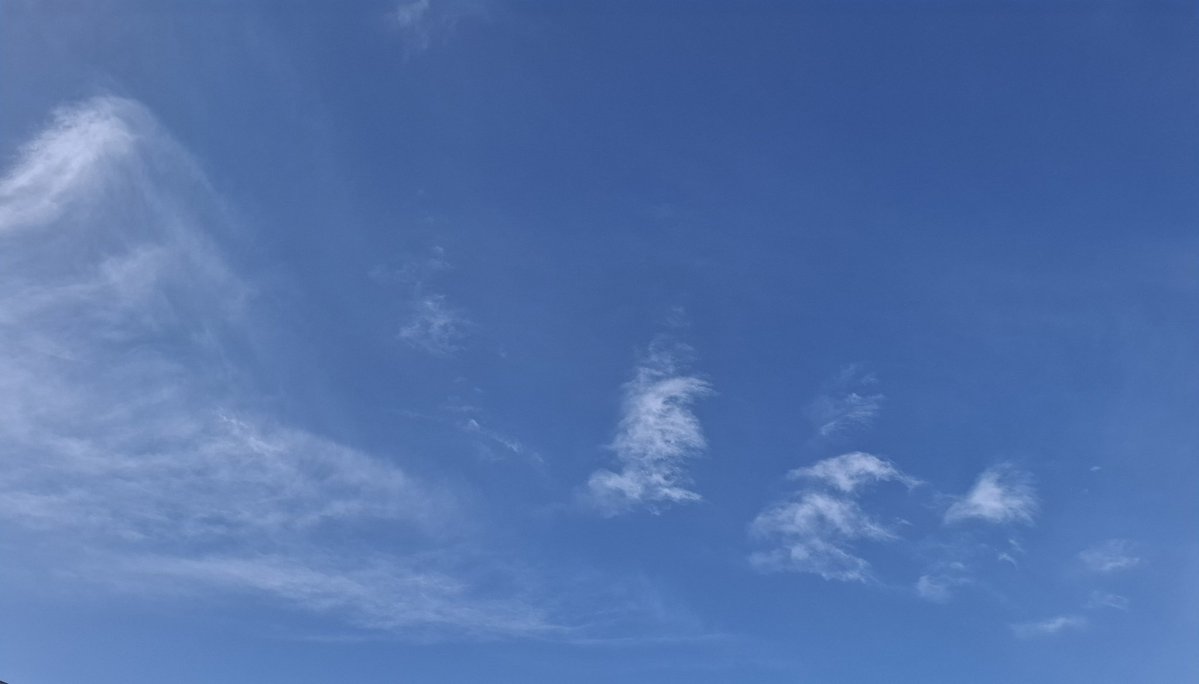 ミント tweet media