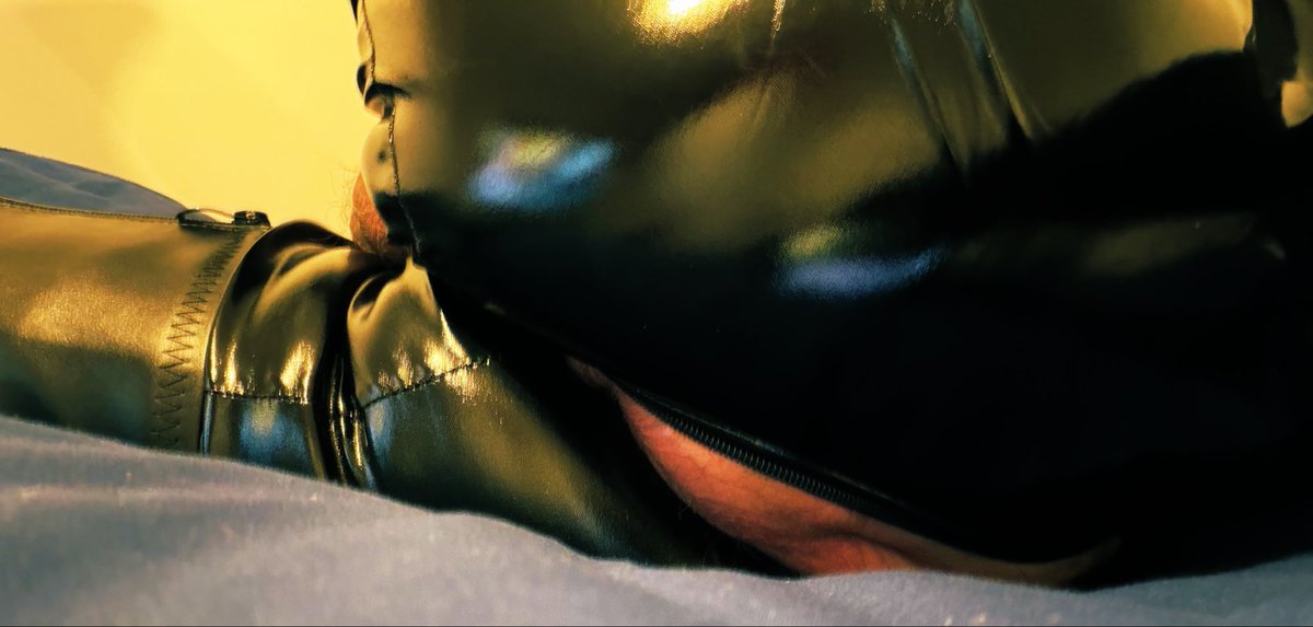 butchstallion tweet media