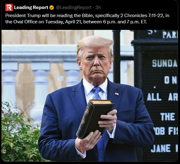 ⚡ F o w z y  tweet media