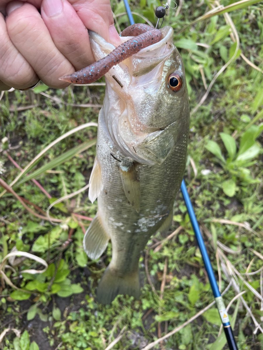 pon@デカハネGP参戦 tweet media